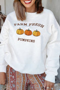 Farm Fresh Pumpkins Pullover